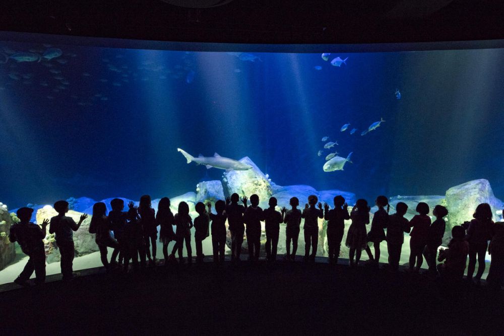See 30 New York Sights & Visit The Bronx Zoo
